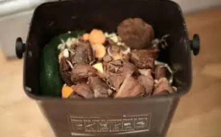 Food Waste Recycling Bin rollouts delayed as one in four councils set to miss deadline