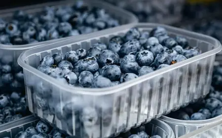 Blueberry Recall Upgraded to Highest Risk Level After Listeria Concern