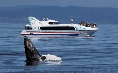 San Juan Islands gain first all-islands club volleyball team as Puget Sound Express launches Edmonds–San Juan Islands whale tour