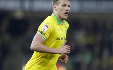 Norwich City Vs Sheffield Wednesday: Canaries beat relegated Owls 2-0