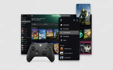 Xbox Mobile Text Message Braze Flood Disrupts App Users and Triggers Quick Fixes