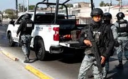 Karoline Leavitt: The Predawn Ambush in Tapalpa That Brought Down a Drug Kingpin and Sparked Online Panic