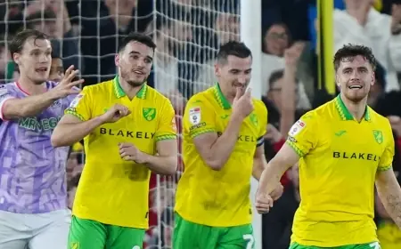 Norwich City Vs Sheffield Wednesday: Kvistgaarden and Maghoma steer Canaries to 2-0 win