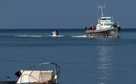 Cuba: cuba boat shooting kills 4; U.S. launches investigation