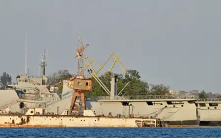 Cuban Border Troops: Key Details on Recent Gun Battle