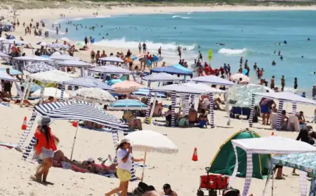 Discover the Best Beach: Free Parking and Golden Sands Await