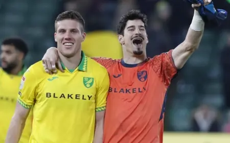 Norwich City Vs Sheffield Wednesday: Canaries’ win eases pressure but Toure injury clouds the night