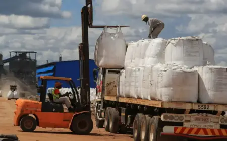 Zimbabwe Bans Export of Raw Minerals and Lithium Concentrate