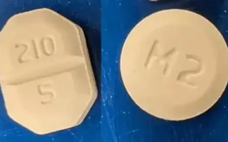 Canadian Banks’ Q1 Earnings: A Comprehensive Analysis