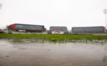 Conflicting Guidance Triggers Torquay Mobile Service Outage Confusion