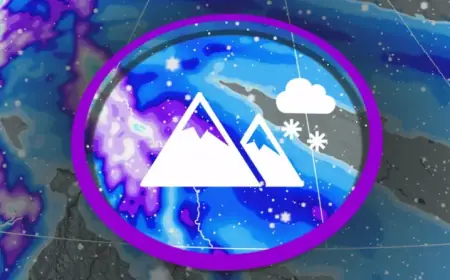 Arctic Air Brings Up to 30 cm of Fresh Snow to Alberta