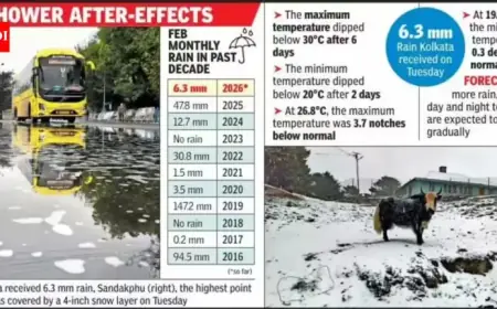 First Rain in Months Drops Max 4.4°C, Lows Fall Below 20°C
