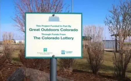 Colorado Lottery Boosts Online Sales, Sparks Casino Addiction Concerns