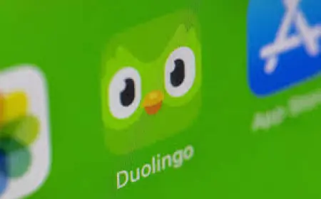 Duolingo Stock Falls After Growth-Focused Guidance, Despite Q4 Revenue Beat