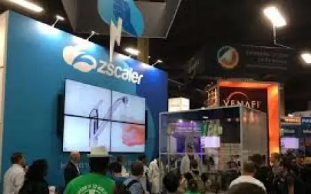 Zs Stock: Zscaler Q4 Sales Top Estimates but Shares Drop