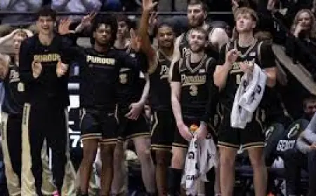 Rockets Vs Magic: How to Watch, Picks and Odds for Feb. 26 Game