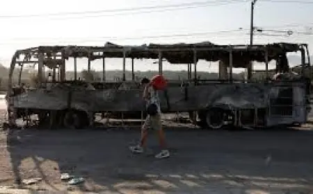 Puerto Vallarta News: Travel Rebounds as Security Presence Remains Elevated