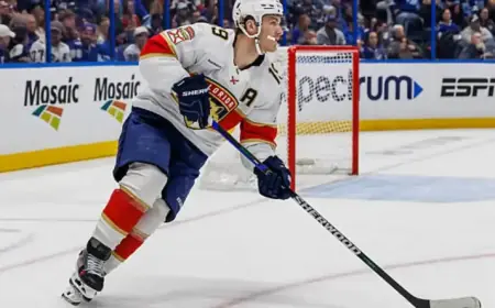 Panthers vs. Maple Leafs: Expert Predictions, Odds & Picks for Feb. 26