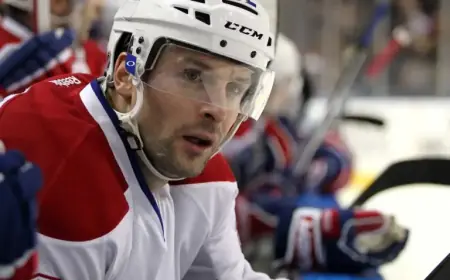 Mathieu Darche Named Islanders GM, Returns to Montreal