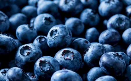 Blueberry Recall expands after Oregon company flags possible Listeria contamination