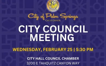 Palm Springs City Council to Address Vehicle Sales Ordinance, Audit Reports