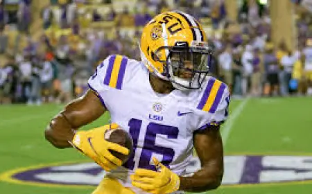 Devonta Lee, former LSU and Louisiana Tech receiver, dies at 26 after cancer battle