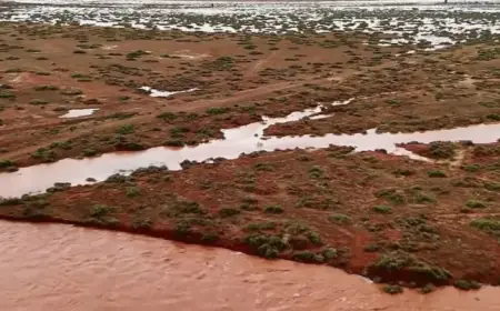 Adelaide Faces Severe Weather Threat with Major Rainfall Forecast