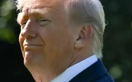 Trump Plot Uncovered: A ‘National Emergency’ Emerges