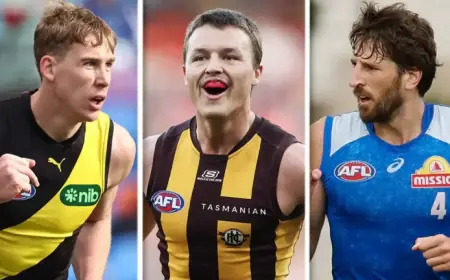 Hawk Returns, Big Tiger Named: Key Boost for Bulldogs