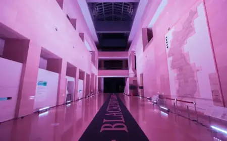 BLACKPINK Transforms Korea’s Iconic Museum Pink for ‘DEADLINE’ Comeback