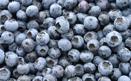 Frozen Blueberries Recalled in Multiple States Over Life-Threatening Listeria Risk