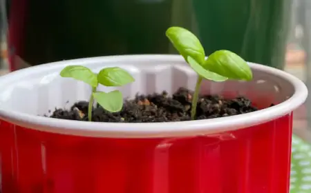 Kate’s Top 5 Activities in Waterloo Region: Feb. 27 – March 1