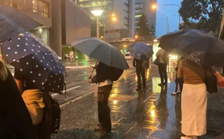 Wet Weather System Set to Soak Brisbane