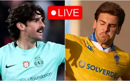 Sporting CP Leads 2-0 Against Estoril: Live Update from Primeira Liga 2025-26