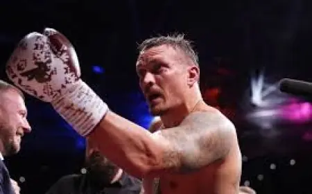 Oleksandr Usyk to Defend WBC Title Against Rico Verhoeven at Pyramids of Giza