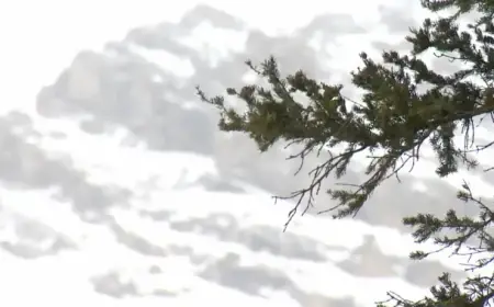 Avalanche Strikes Near Calgary: 1 Skier Unresponsive, 1 Rescued