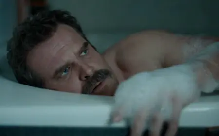 DTF St. Louis Premieres Sunday on HBO: Jason Bateman and David Harbour Are Already Getting Emmy Buzz
