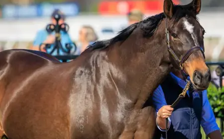Farewell to the Legendary Makybe Diva