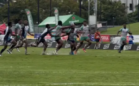 Opening Match Canceled to Safeguard Field Conditions