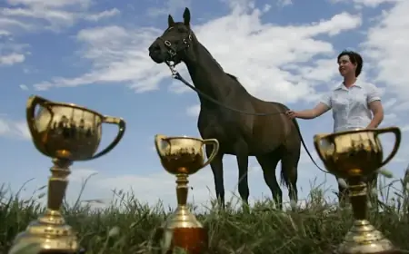Diva’s Historic Triumph: The Legendary Horse that Redefined Records