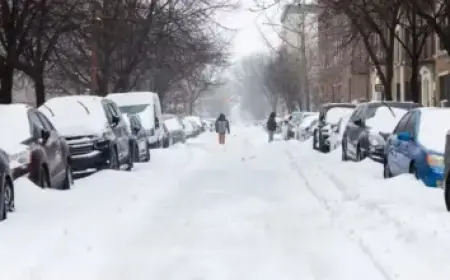 Tigers’ Next Move After Abandoned Match Revealed