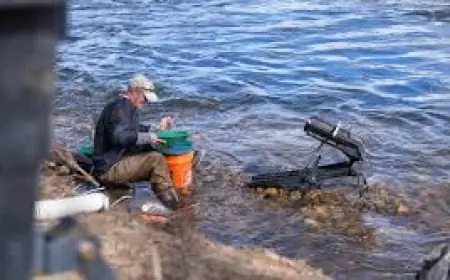 Gold Price Surge Prompts Prospectors as Value Jumps 80pc — Pawn Experts Warn and Advise