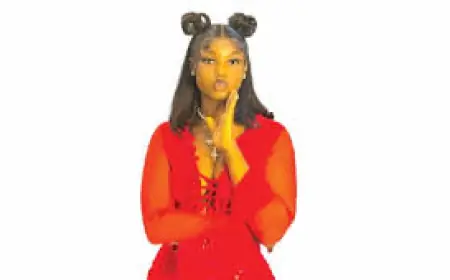 King Mitchy Feud Pulls Seyi Tinubu Into Dispute Over Six‑Day School Renovation