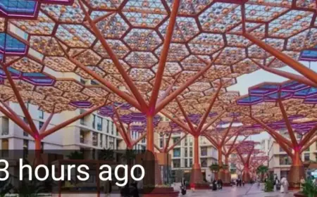 Island Unveils Air-Conditioned Forest to Combat Summer Heat