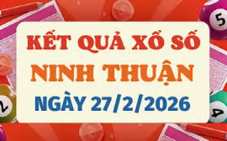 Xsmn draws on 28-2 deliver four special numbers across TPHCM, Long An, Bình Phước, Hậu Giang