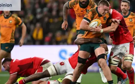 Wallabies’ Next Weapon Faces Tough Test Against Kiwi Bullies