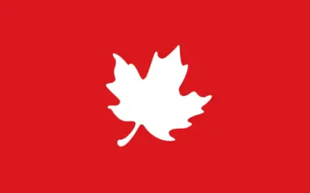 Ontario School Boards Embrace New Beginnings