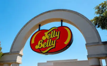 The Jelly Belly Candy Company: Flavor Innovation, Factory Tours, and What’s Next for the Iconic Bean