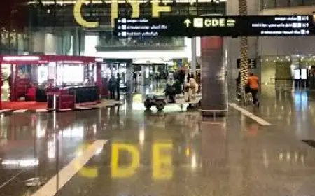 Edinburgh–Doha Qatar flight QTR59F makes mid-air U-turn as explosions reported in Doha