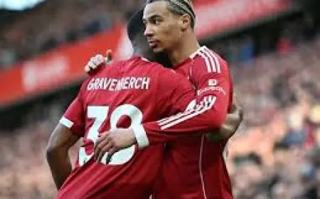 Epl Scores: Liverpool extend lead as Everton win at Newcastle and Burnley stage stunning fightback